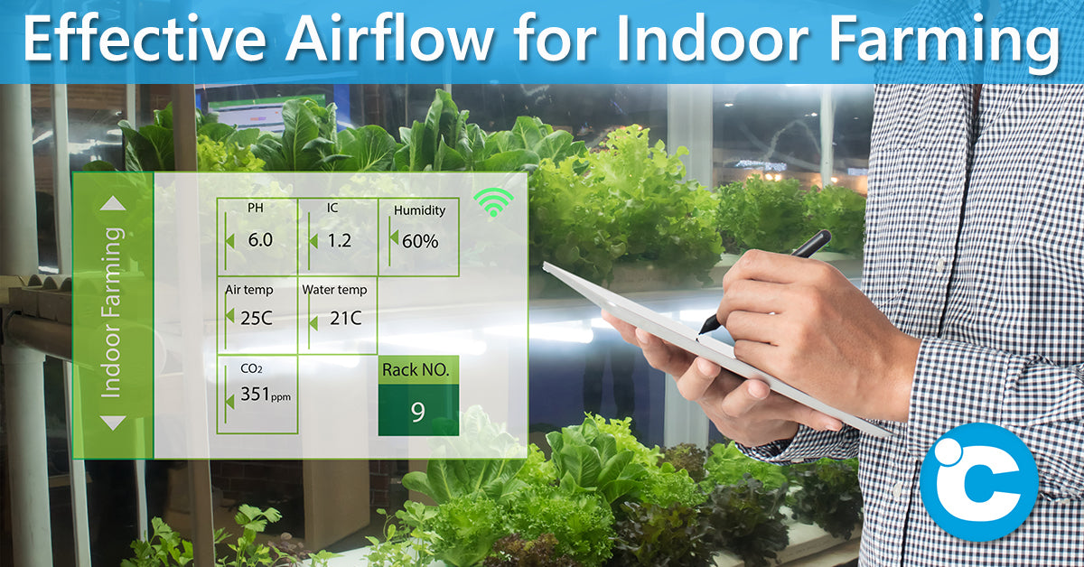 Effective Airflow for Indoor Farming